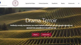 drama-teroir-upcodea